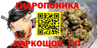 ПСИЛОЦИБИНОВЫЕ ГРИБЫ Бердск